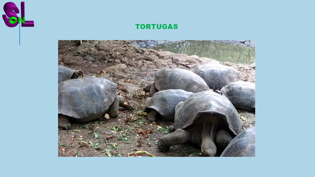 islas Galápagos