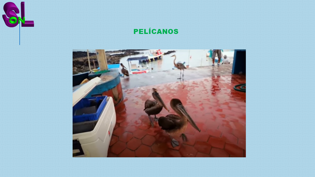 islas Galápagos