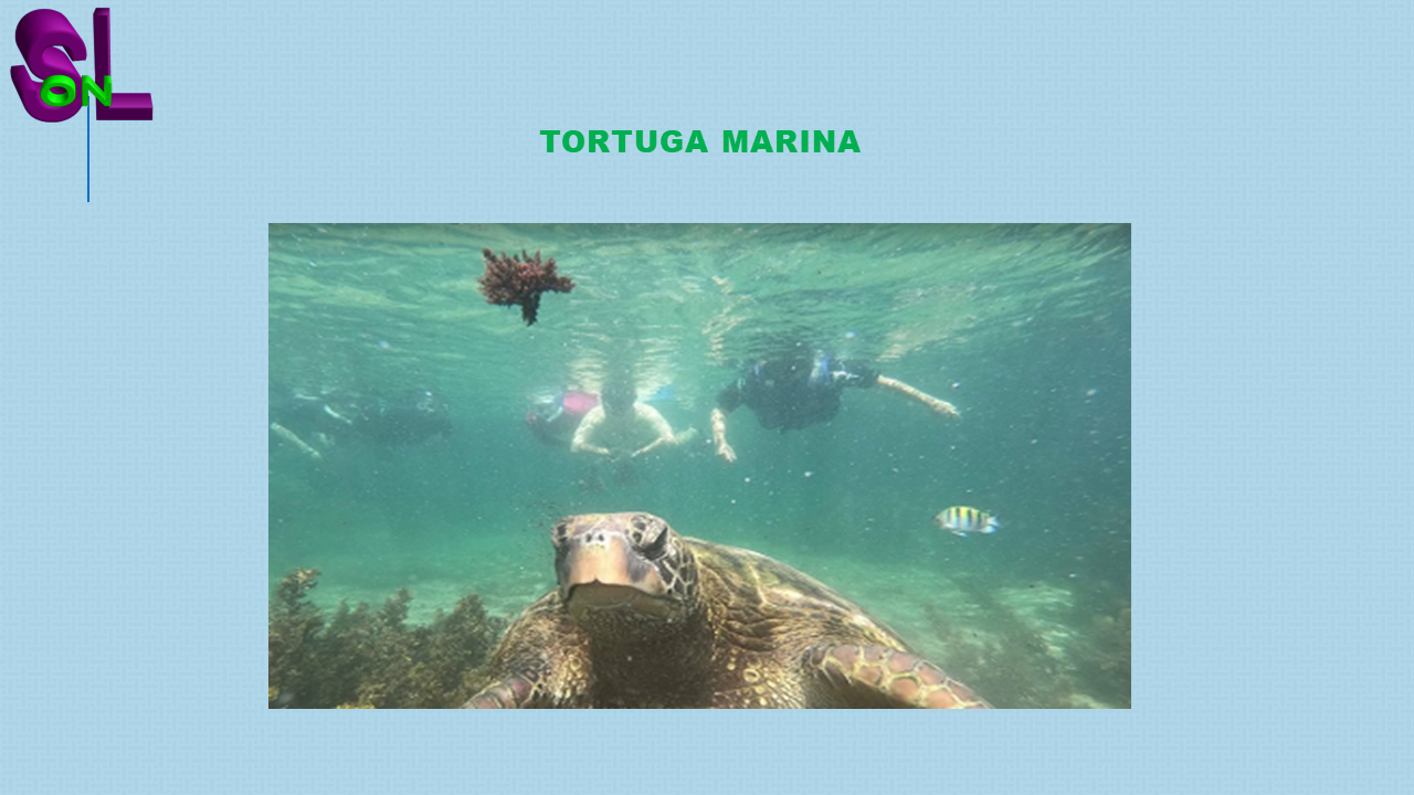 islas Galápagos