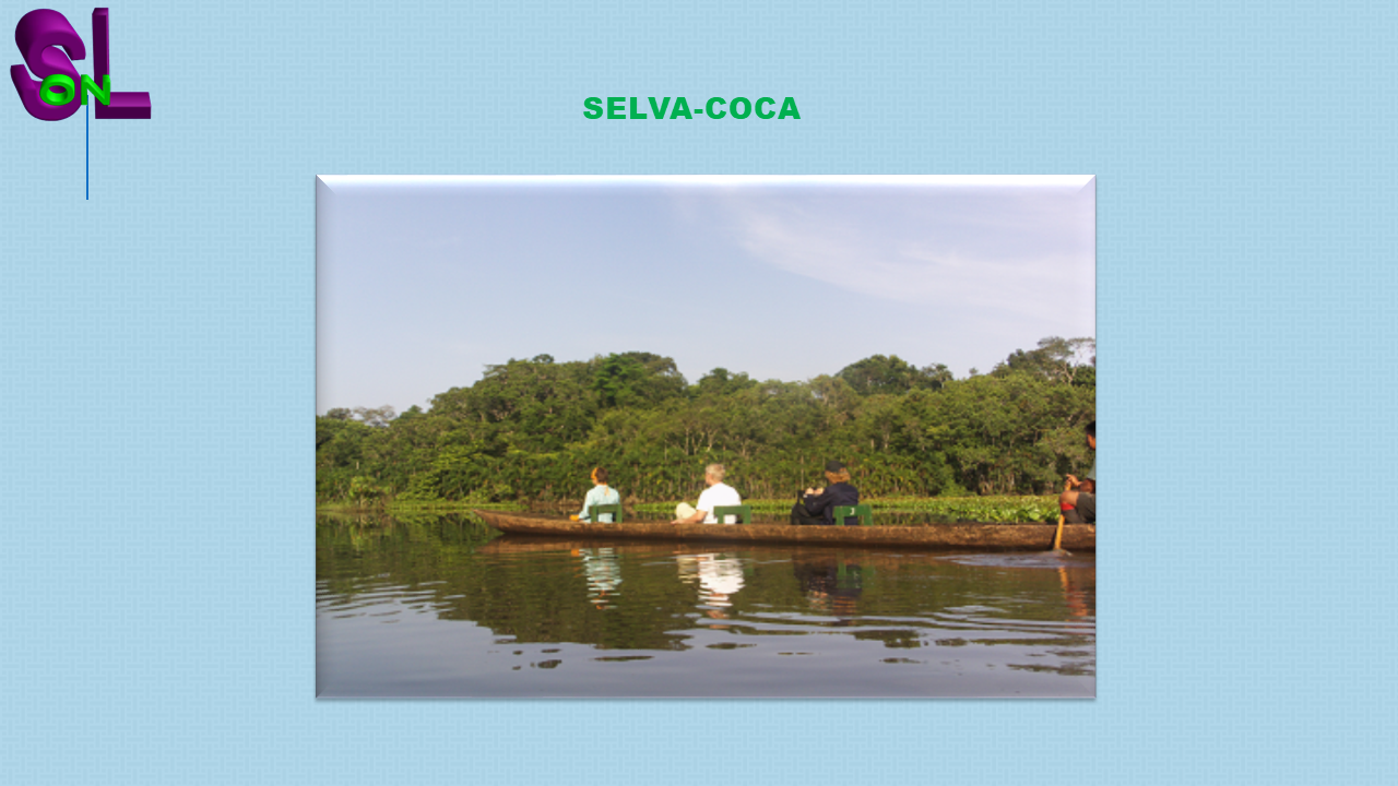 la selva de ecuador en sudamérica
