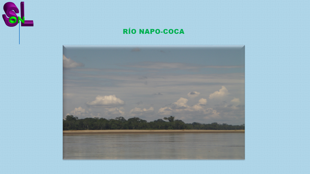la selva de ecuador en sudamérica