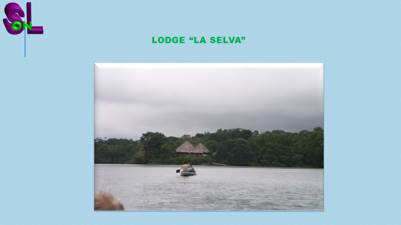 la selva de ecuador en sudamérica